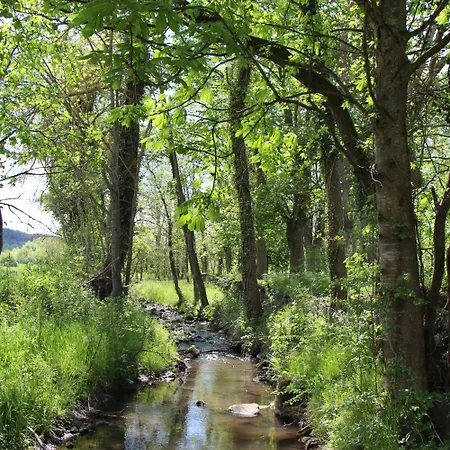 Alcove Du Velay Oda ve Kahvaltı